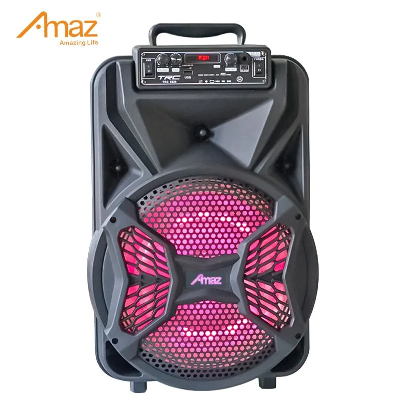 Bluetooth PA Speaker System with Wireless Microphone12 Inch Highet Portable Outdoor Karaoke Speaker