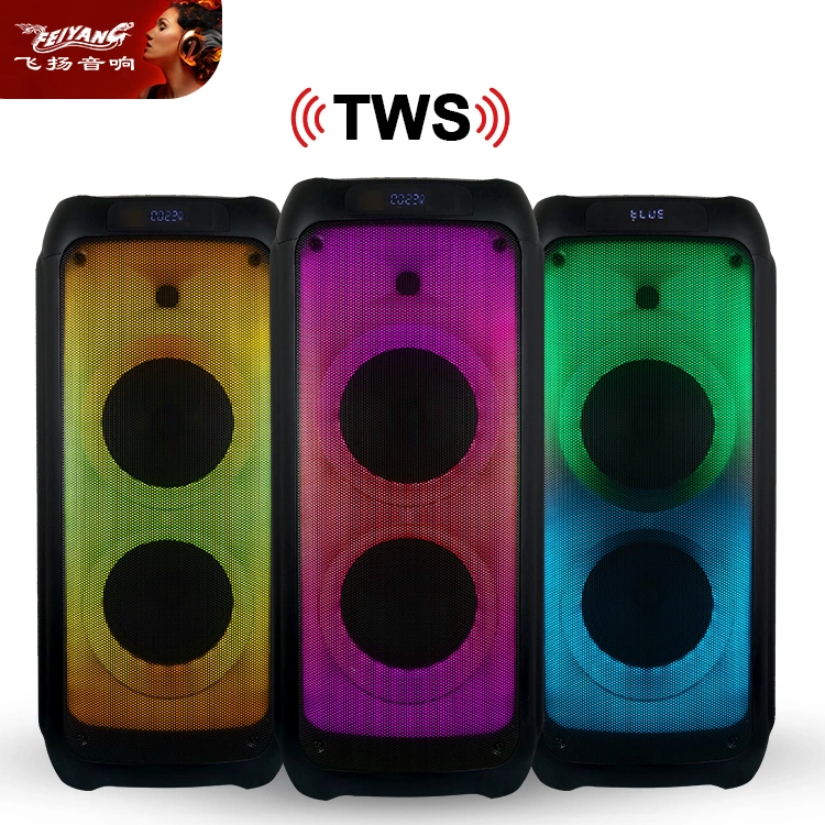 Brazil Top Sale Speaker Party Sound System for Tower DJ Portable PA Speaker Dual 8 Inch Disco Light Wireless Portable Bluetooth Speaker